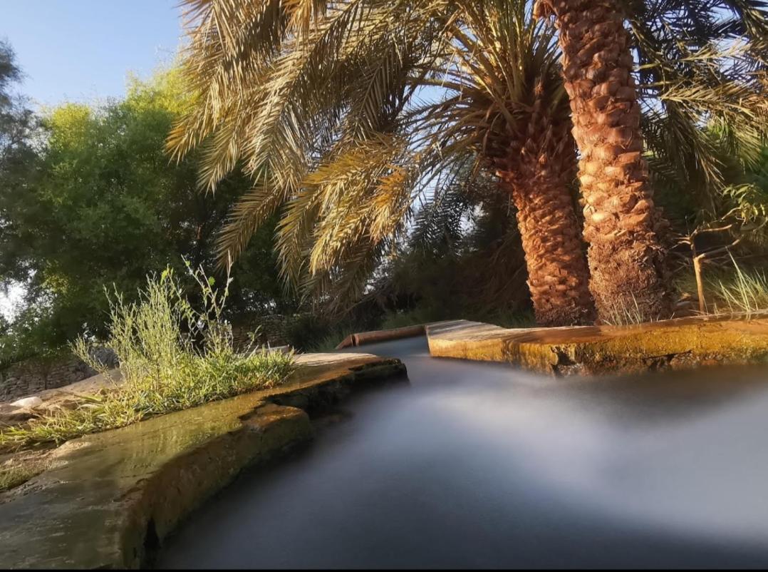 Ahmed Safari Camp Hotel Bawati Екстериор снимка